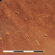 Illustration for article titled How Do You Determine the Age of a Footprint?